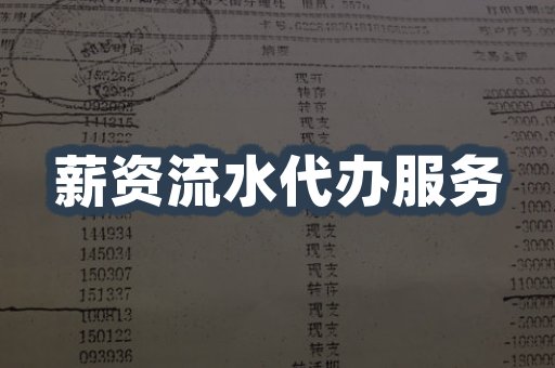 薪资流水代办服务示例